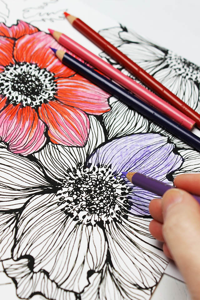 Adult Coloring Books And Pencils
 alisaburke colored pencils a few tips and tricks