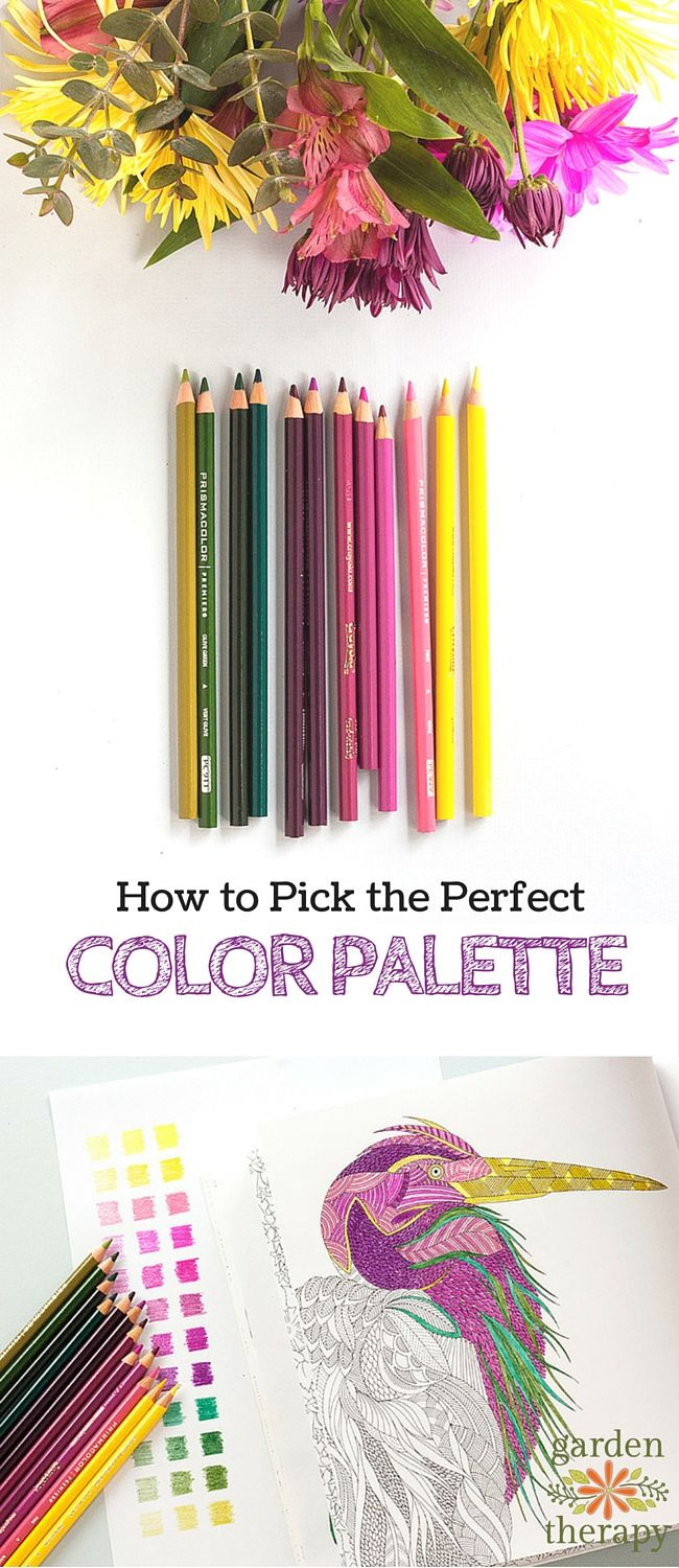 Adult Coloring Books And Pencils
 Color Like a Designer How to Choose a Color Palette for