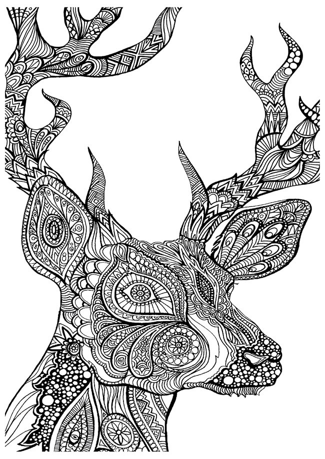 Adult Coloring Books Animals
 Printable Coloring Pages for Adults 15 Free Designs