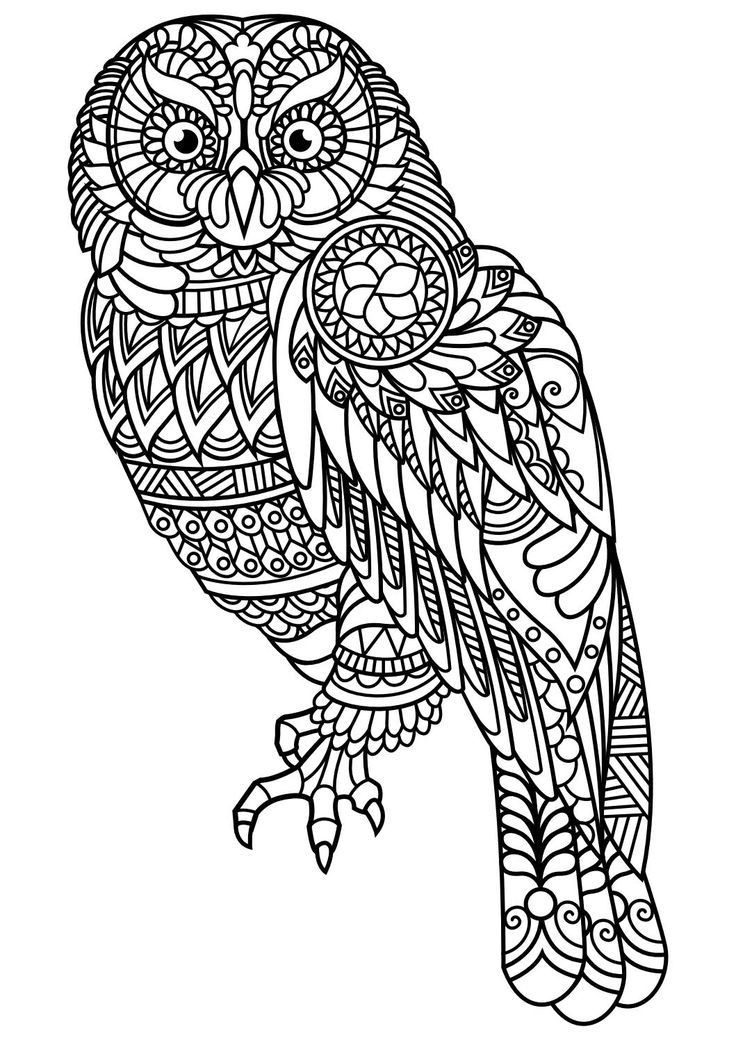 Adult Coloring Books Animals
 Animal coloring pages pdf Animal Coloring Pages is a free