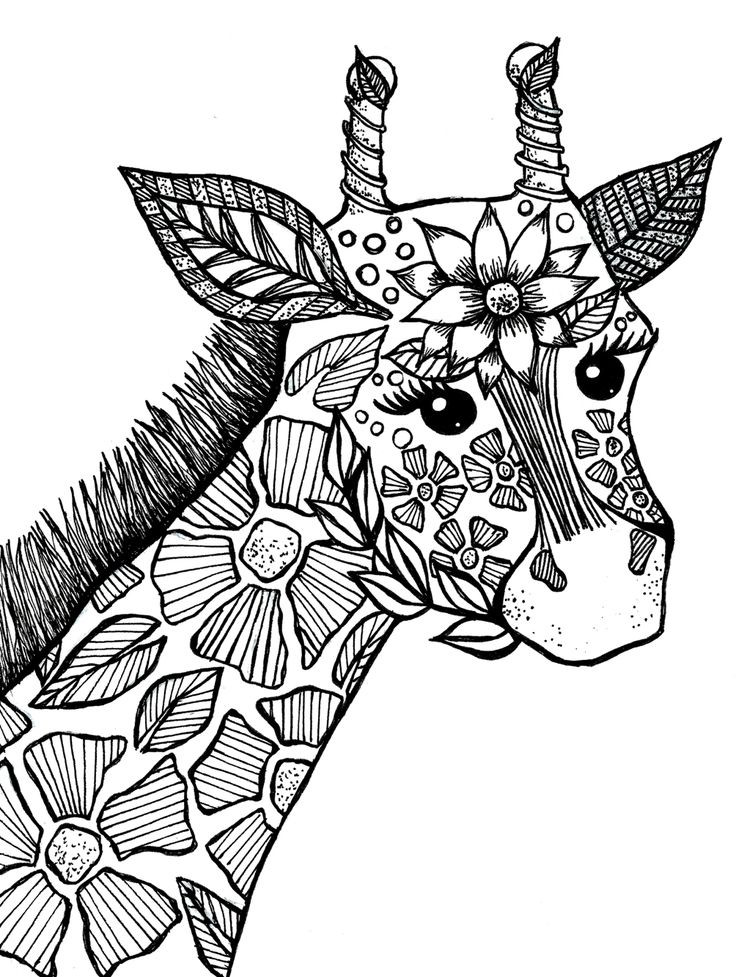 Adult Coloring Books Animals
 Giraffe Adult Coloring Book Page