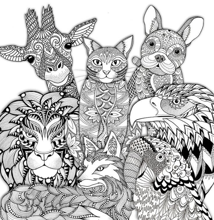 Adult Coloring Books Animals
 Adult coloring pages animals
