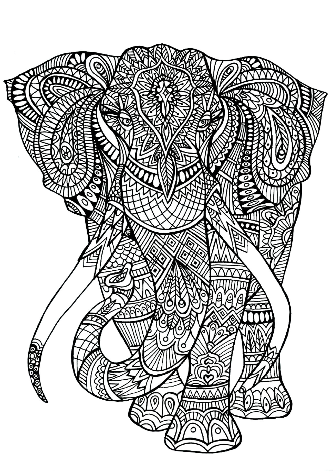 Adult Coloring Books Animals
 Elephant patterns
