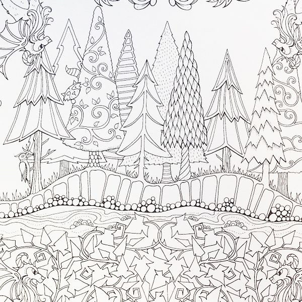 Adult Coloring Books Enchanted Forest
 Artist Johanna Basford Enchanted Forest Coloring pages