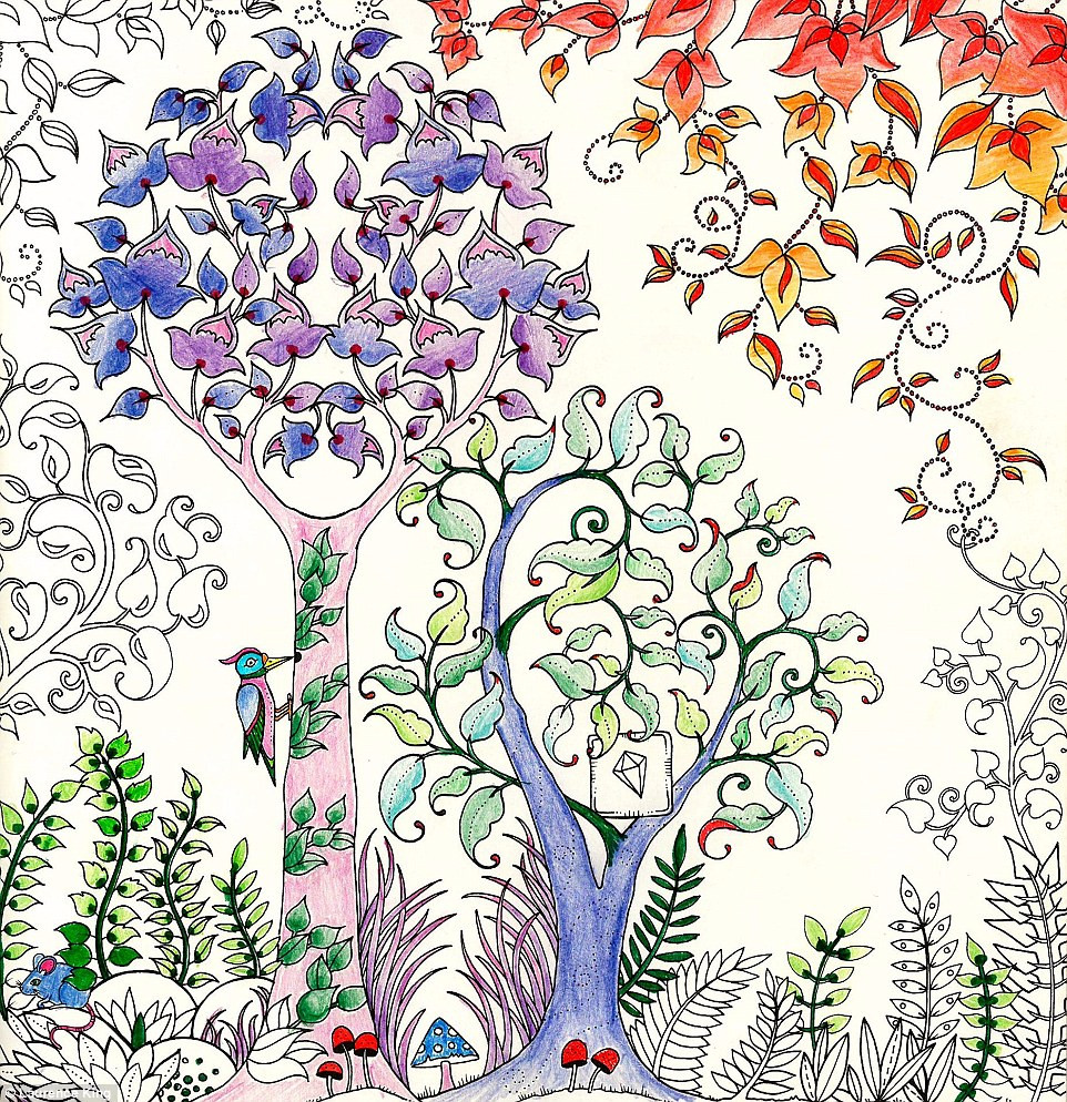 Adult Coloring Books Enchanted Forest
 Johanna Basford sells million copies of Secret Garden