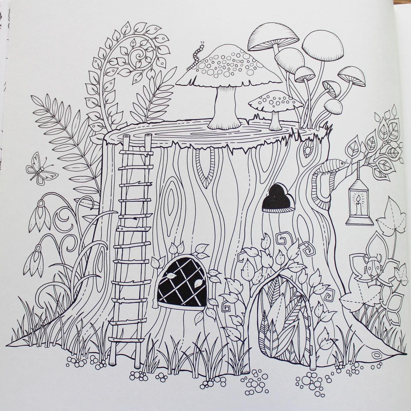 Adult Coloring Books Enchanted Forest
 Пин на доске Coloring for a rainy day