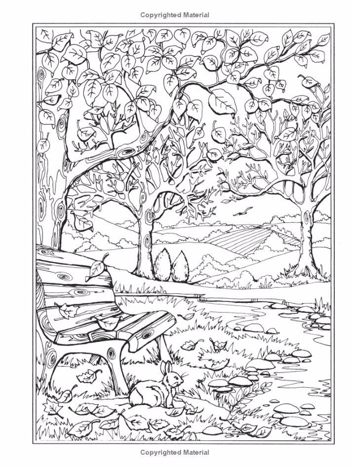 Adult Coloring Books Enchanted Forest
 Enchanted Forest Coloring Pages