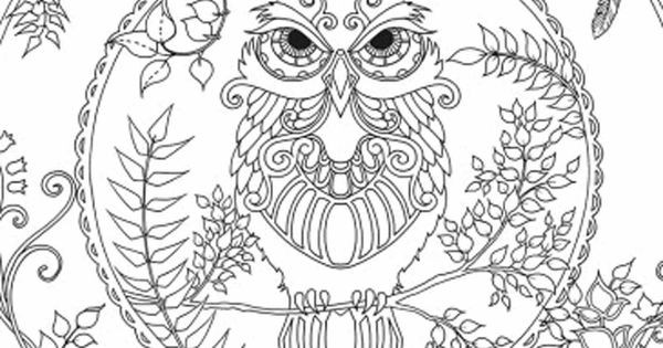 Adult Coloring Books Enchanted Forest
 Enchanted Forest Owl Coloring pages colouring adult