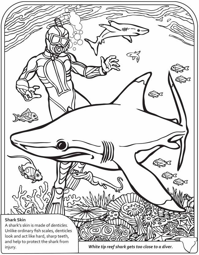 Adult Coloring Books For Boys
 128 best coloring pages boys images on Pinterest