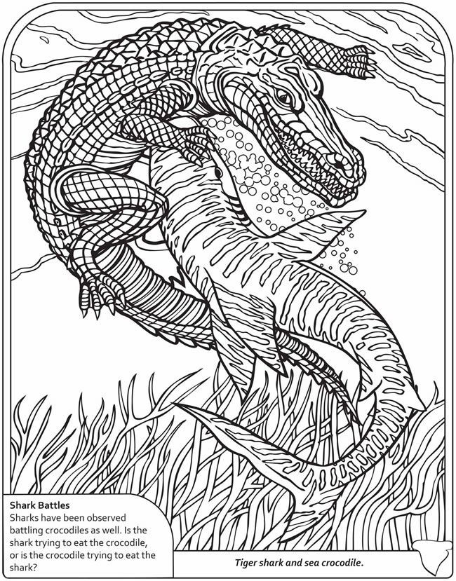 Adult Coloring Books For Boys
 23 best images about Coloring Nathan on Pinterest