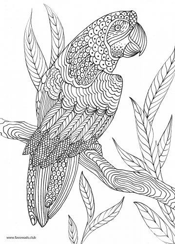 Adult Coloring Pages Birds
 The Best Free Adult Coloring Book Pages