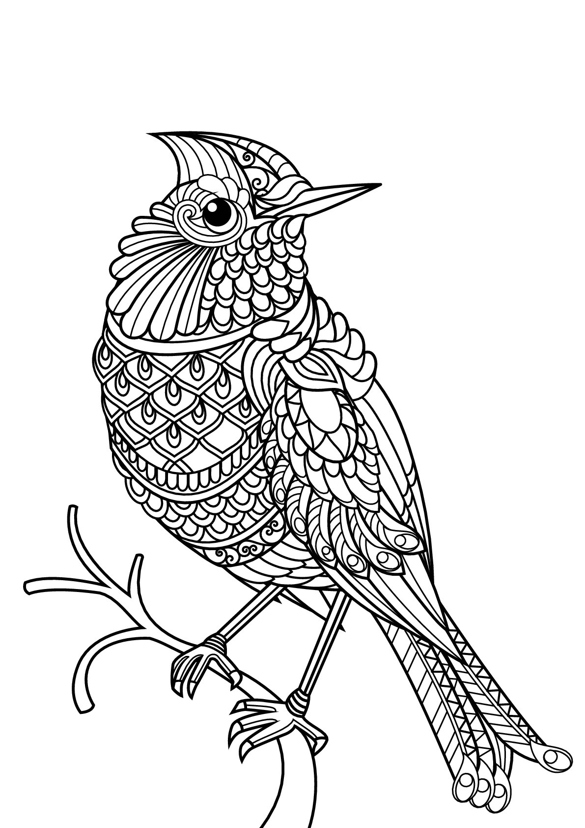 Adult Coloring Pages Birds
 Free book bird Birds Adult Coloring Pages