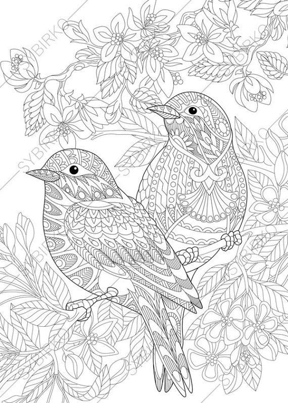 Adult Coloring Pages Birds
 Sparrow Birds Adult Coloring Book Page by