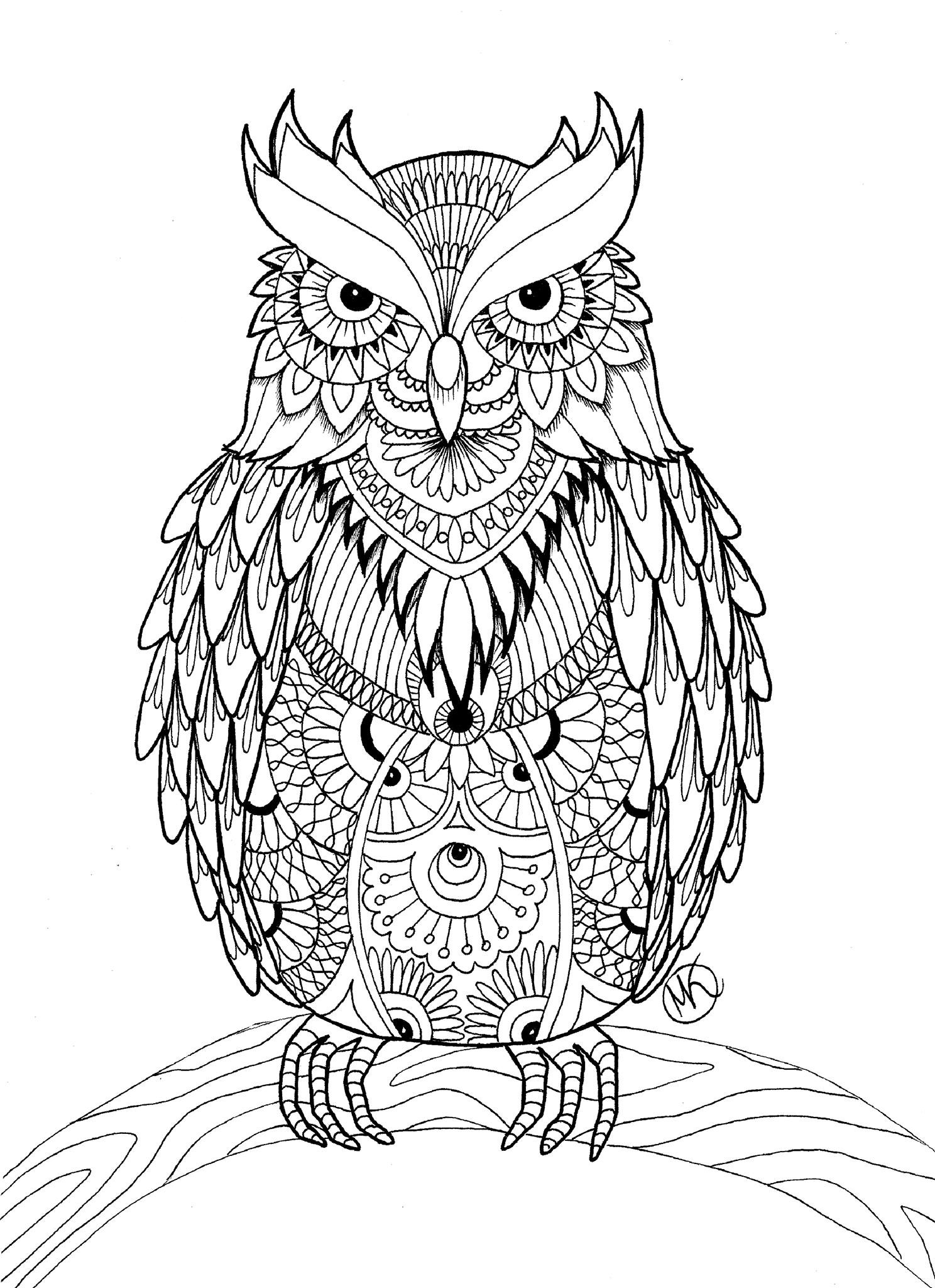 Adult Coloring Pages Free
 OWL Coloring Pages for Adults Free Detailed Owl Coloring