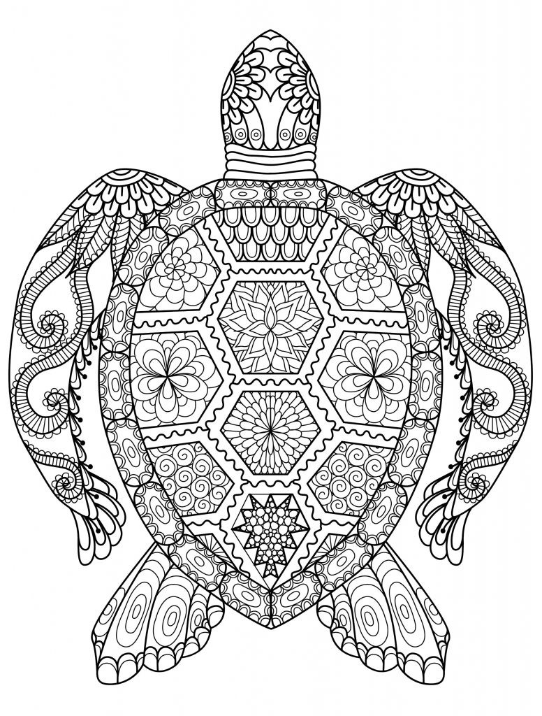 Adult Coloring Pages Free
 Adult Coloring Pages Animals Best Coloring Pages For Kids