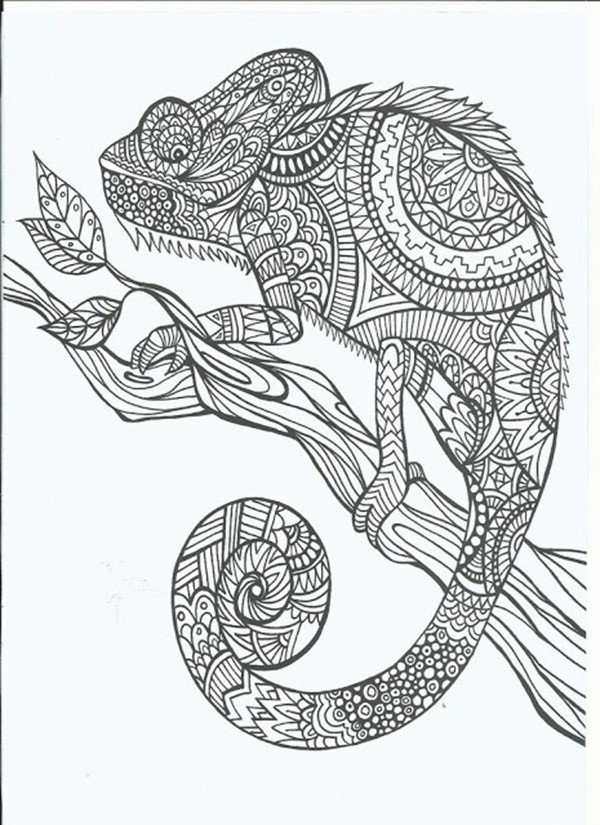 Adult Coloring Pages Free
 Free Printable Coloring Pages for Adults 12 More Designs