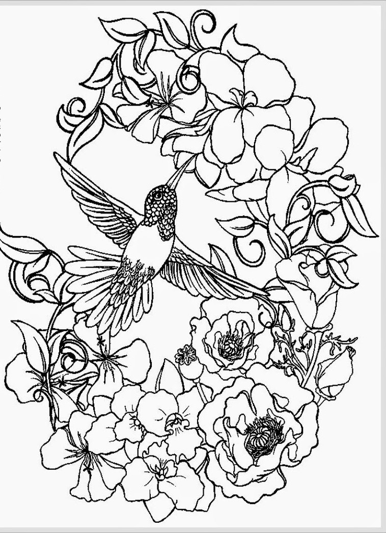 Adult Coloring Pages Free Printables
 Awesome Adult Coloring Coloring Pages
