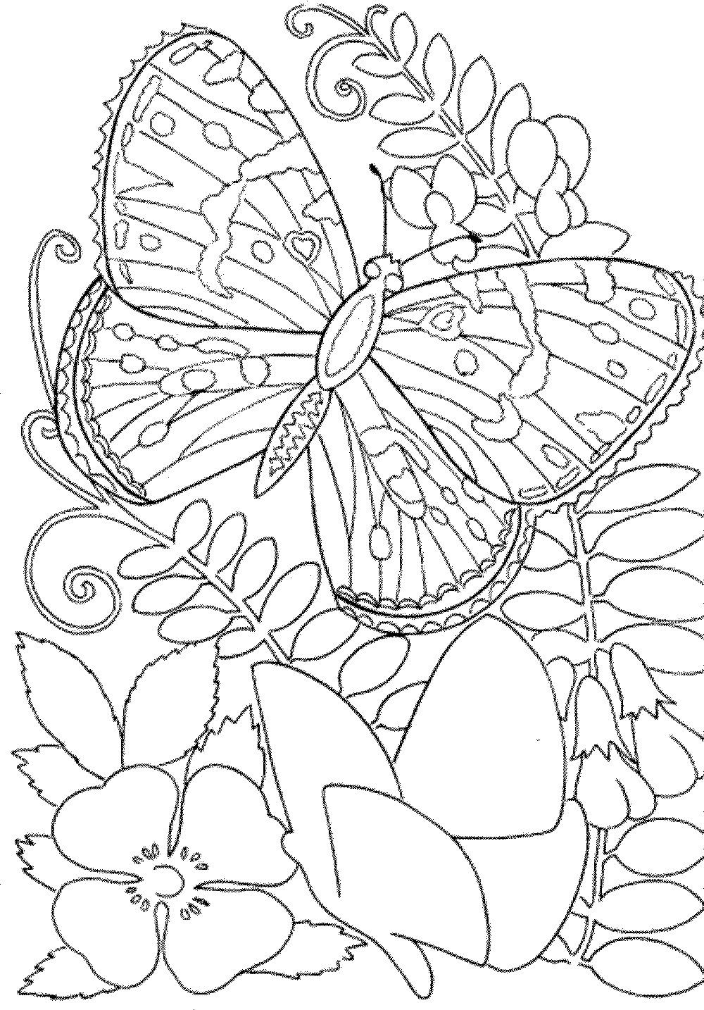 Adult Coloring Pages Free Printables
 Free Printable Spring Coloring Pages For Adults Coloring