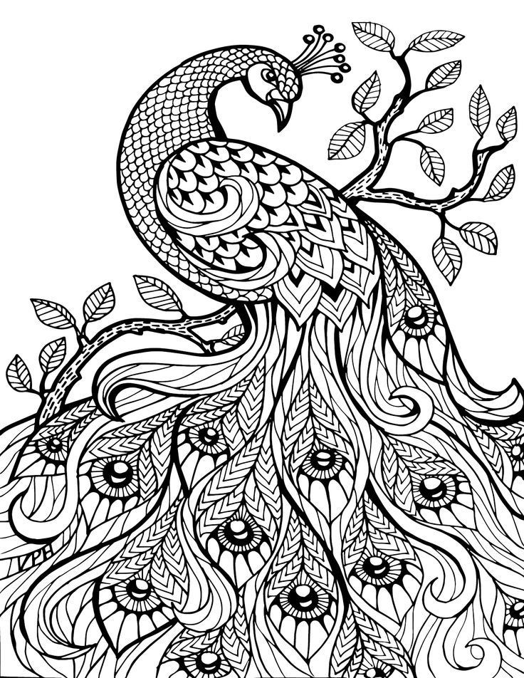 Adult Coloring Pages Free Printables
 Pin on Adult Coloring Book Animals