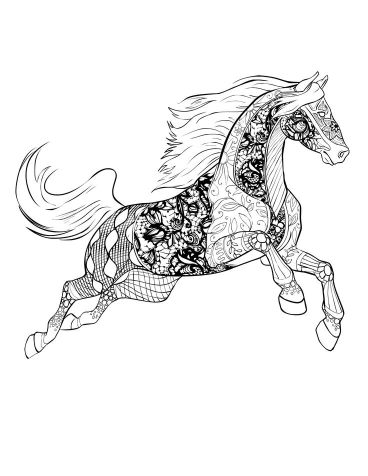 Adult Coloring Pages Horse
 Horse free Selah Works