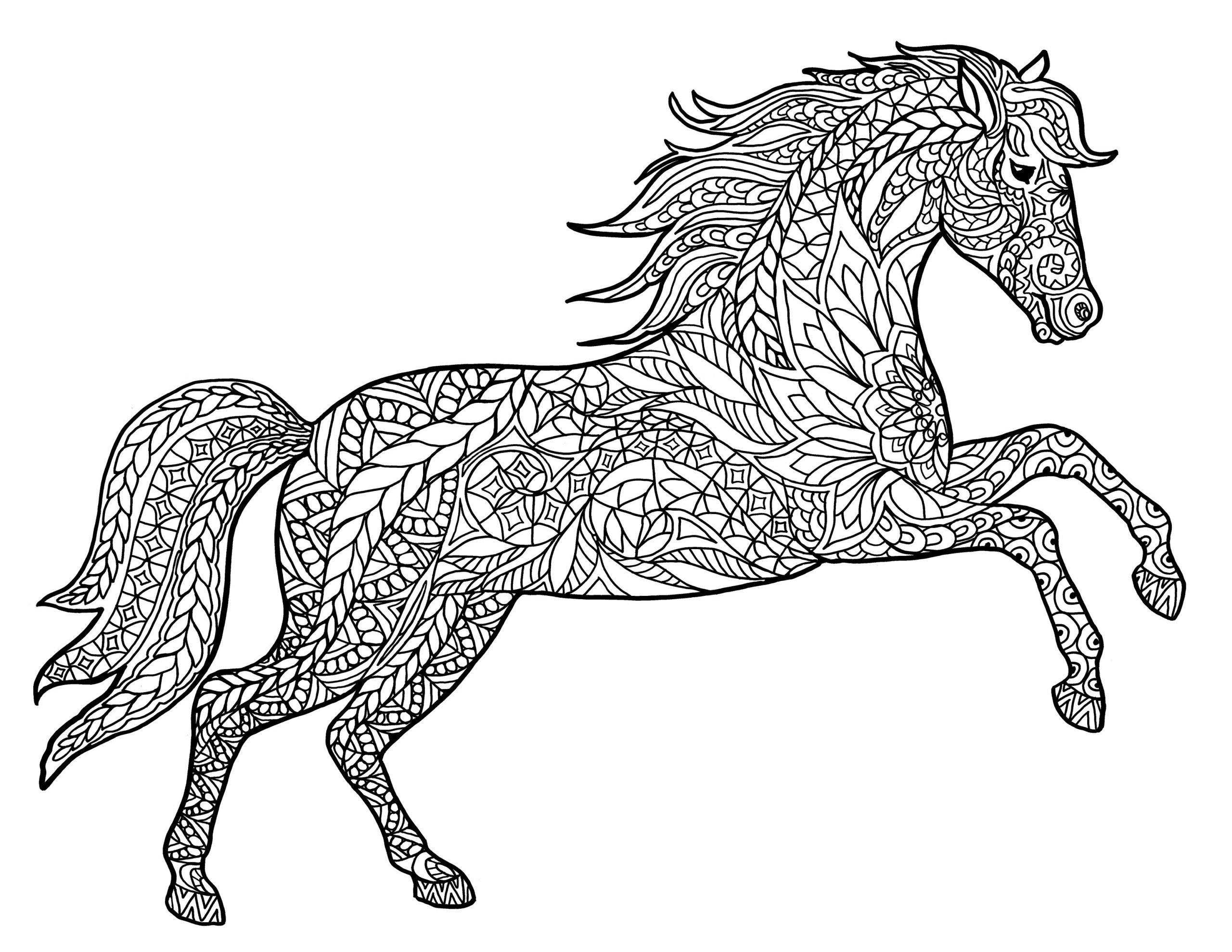 Adult Coloring Pages Horse
 Animal Coloring Pages for Adults Best Coloring Pages For