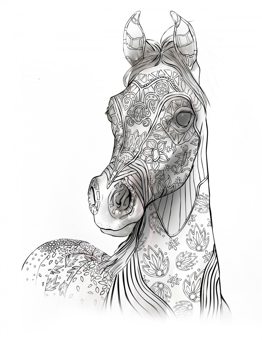 Adult Coloring Pages Horse
 Adult Coloring Book Page Beautiful Stallion For Adult