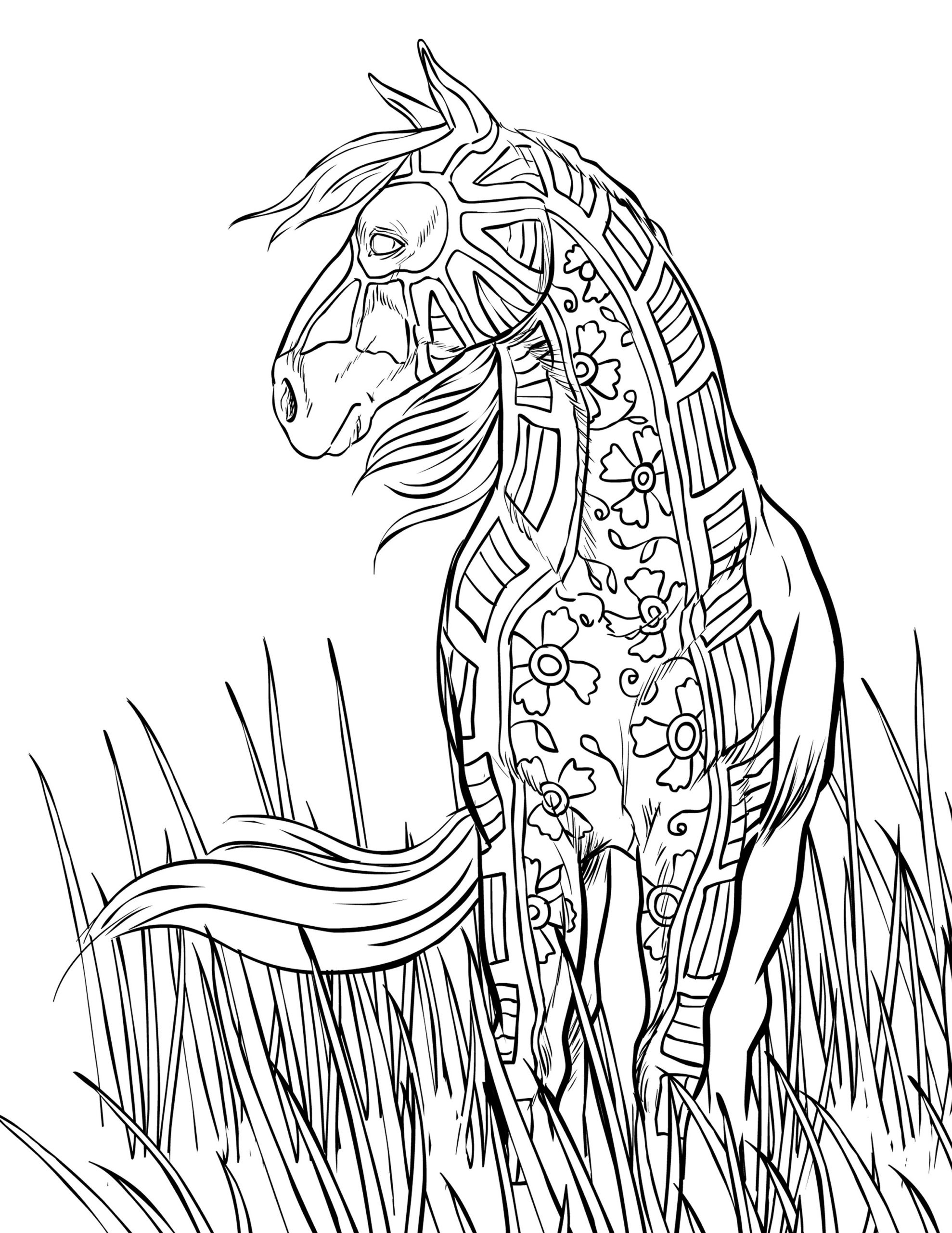 Adult Coloring Pages Horse
 FREE HORSE COLORING PAGES
