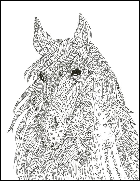 Adult Coloring Pages Horse
 Horse Coloring Page for Adults Horse Adult Coloring Page