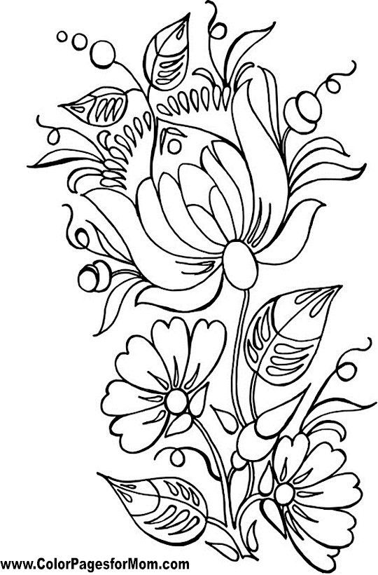 Adult Coloring Pages Patterns Flowers
 512 best images about Coloring Pages on Pinterest
