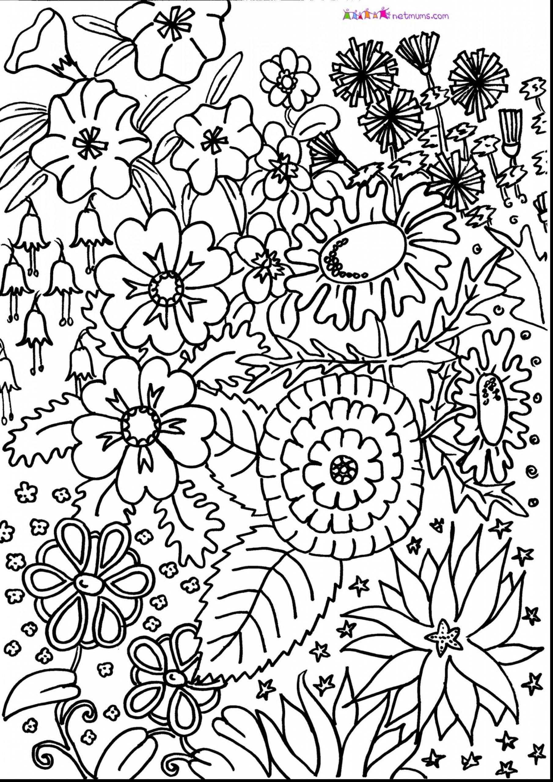 Adult Coloring Pages Patterns Flowers
 Adult Coloring Pages Patterns Flowers at GetDrawings