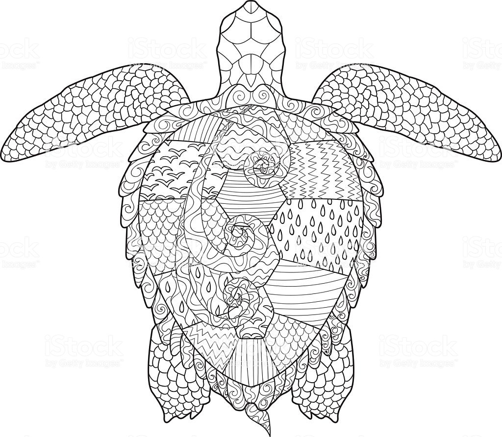 Adult Coloring Pages Turtle
 Adult Antistress Coloring Page With Turtle Stock Vector