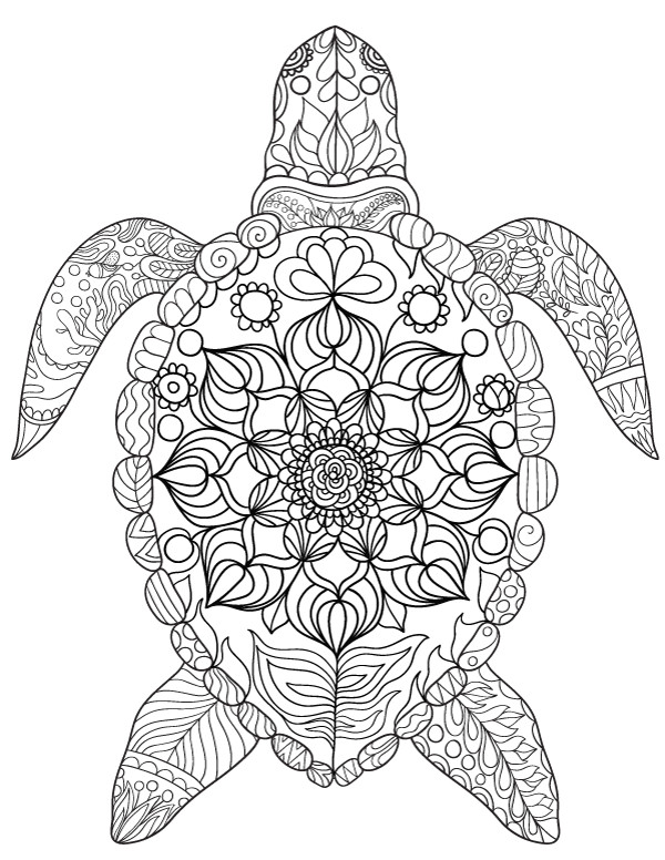 Adult Coloring Pages Turtle
 Sea Turtle Adult Coloring Page