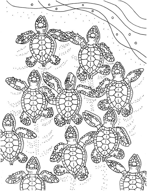 Adult Coloring Pages Turtle
 Baby Sea Turtles coloring page embroidery pattern sea