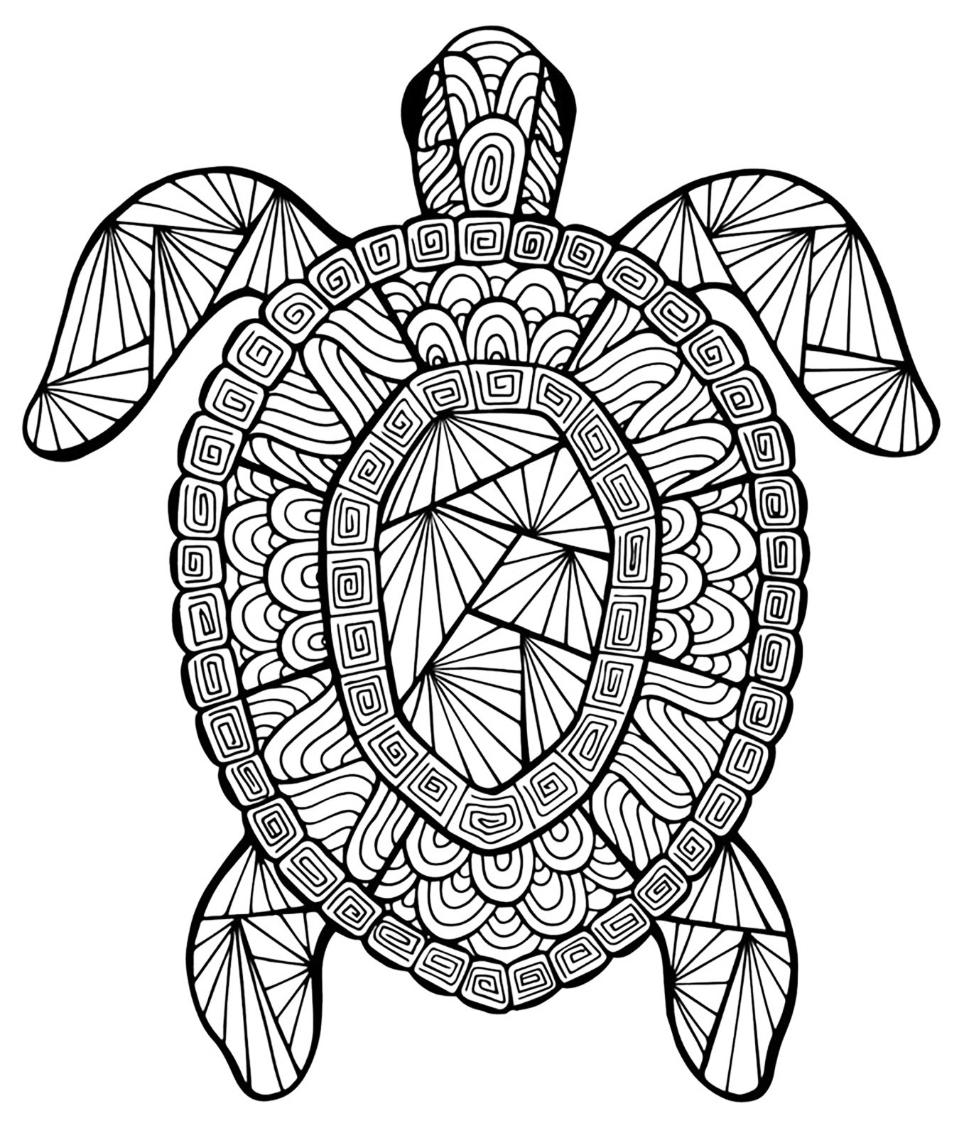 Adult Coloring Pages Turtle
 Incredible turtle Turtles Adult Coloring Pages
