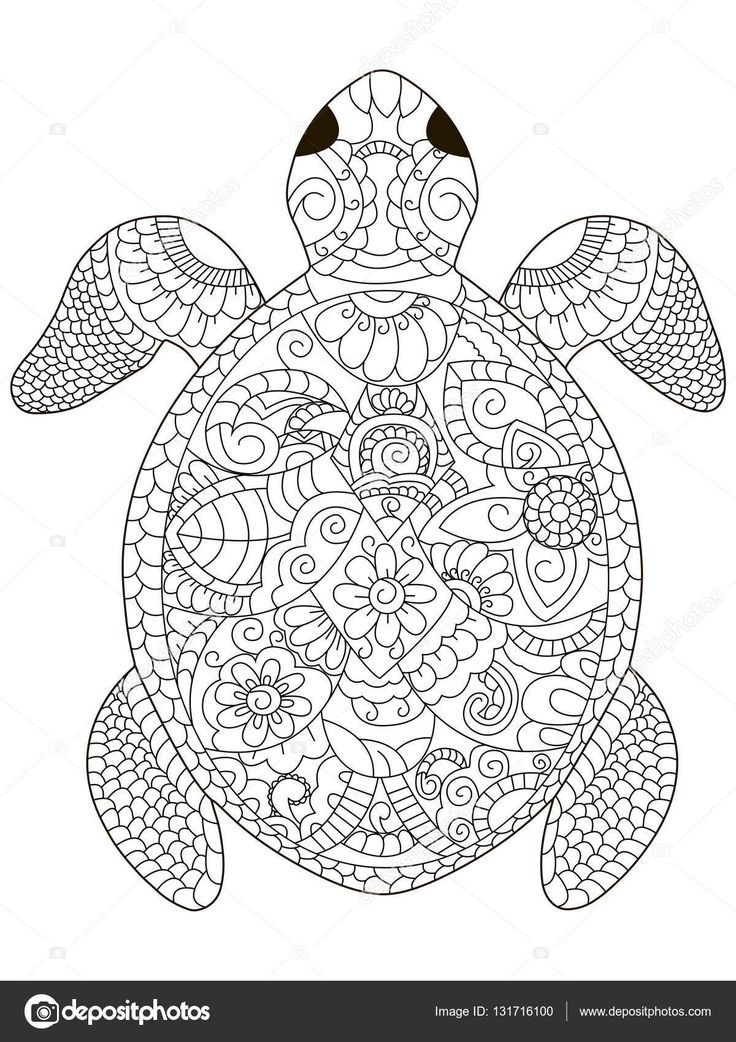 Adult Coloring Pages Turtle
 237 best coloring turtle penguin images on Pinterest