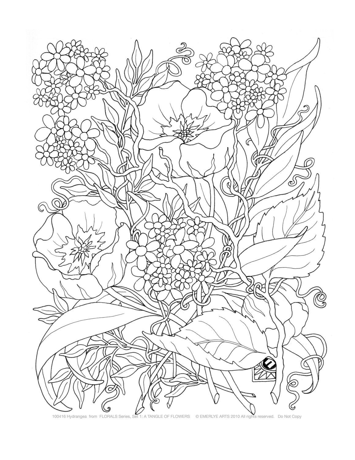 Adult Flower Coloring Pages
 Adult Coloring A Tangle of Flowers Set of 8 by emerlyearts