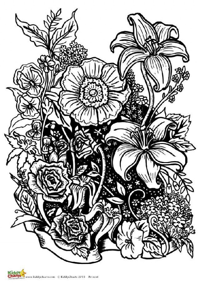 Adult Flower Coloring Pages
 Four free flower coloring pages for adults