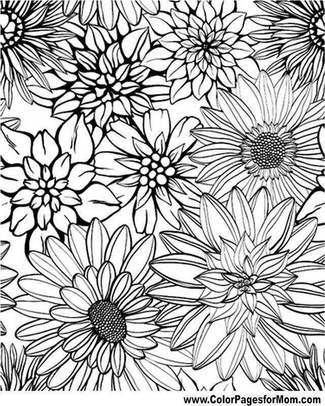 Adult Flower Coloring Pages
 Flower Coloring Page 79