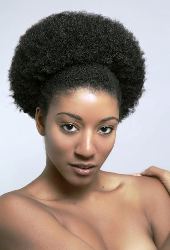 African American Female Hairstyles
 20 Afro Hairstyles For African American Woman’s Feed