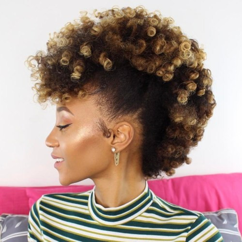 African American Female Hairstyles
 30 Best Natural Hairstyles for African American Women