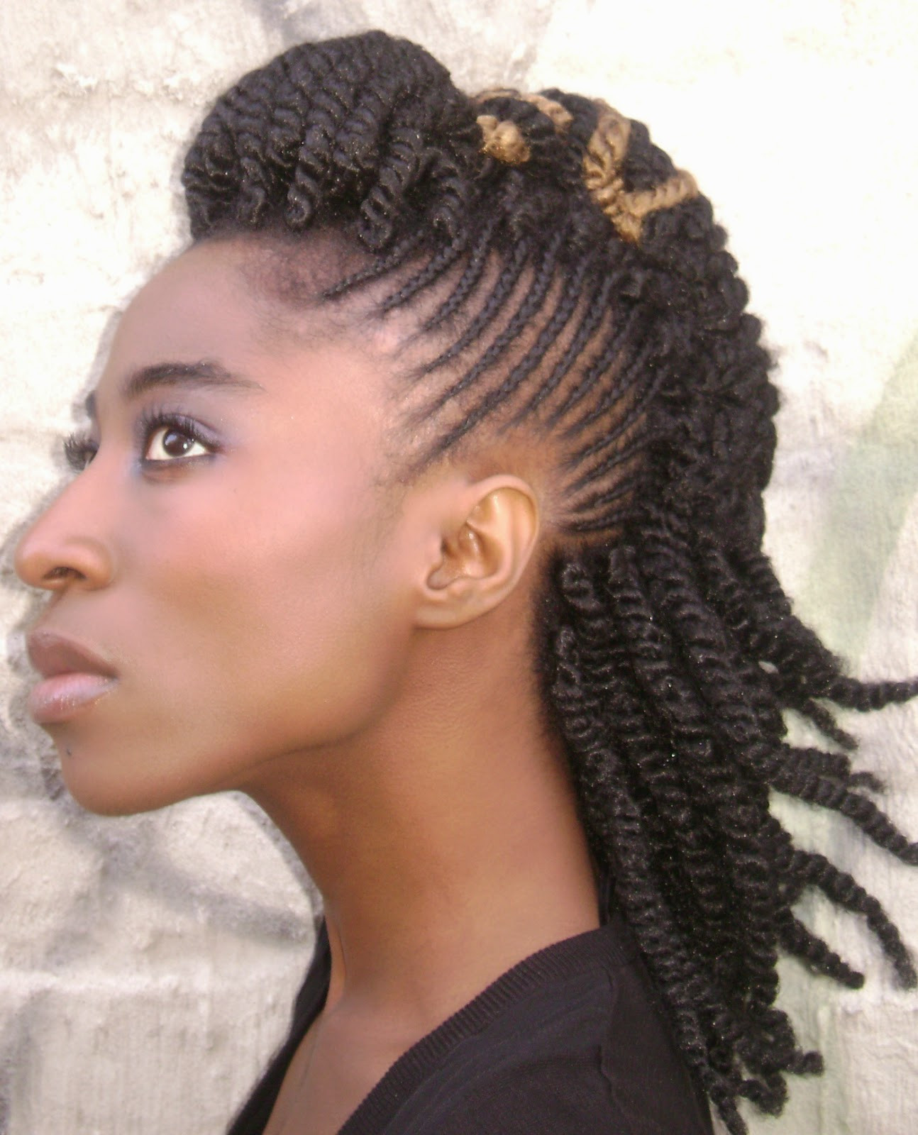 African Updo Hairstyles
 Top 18 2014 Africa America Updo Braids