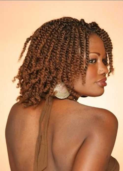 Afro Braid Hairstyle
 Braids for Black Women with Short Hair