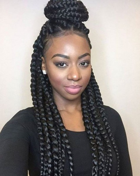 Afro Braid Hairstyle
 12 Pretty African American Braided Hairstyles PoPular
