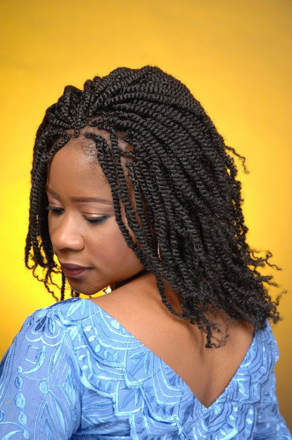 Afro Braid Hairstyle
 57 African Hair Braiding Styles Explained with Trending