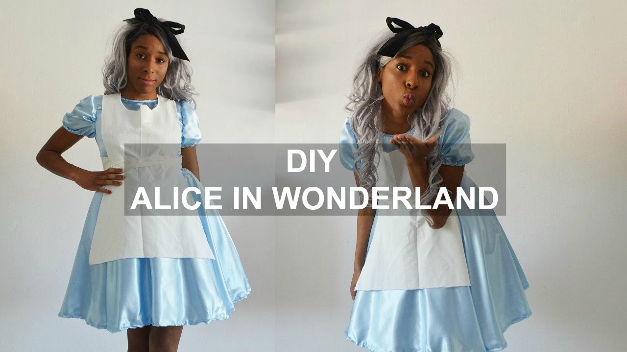 Alice And Wonderland DIY Costume
 DIY COSTUME