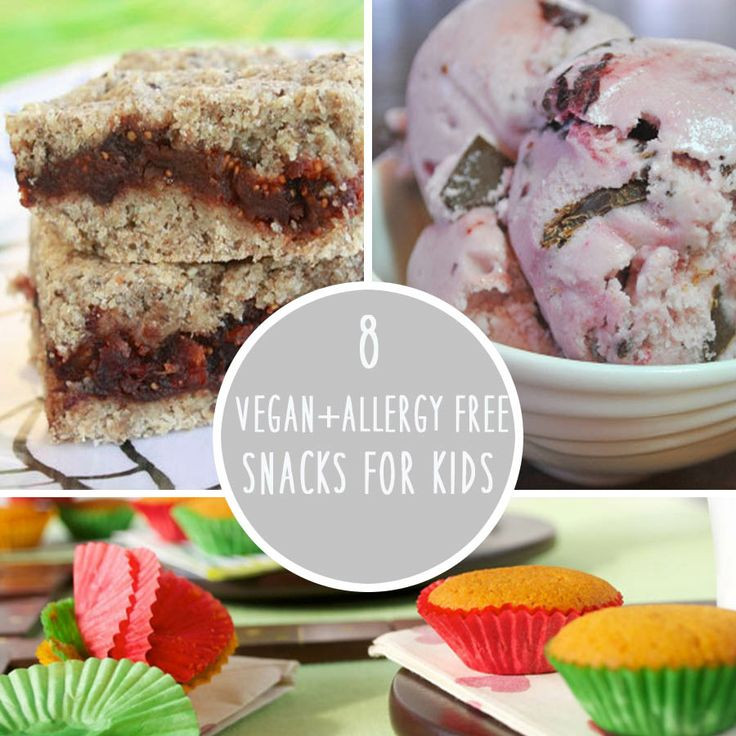 Allergy Free Recipes For Kids
 8 Vegan and Allergy Free Snacks For Kids