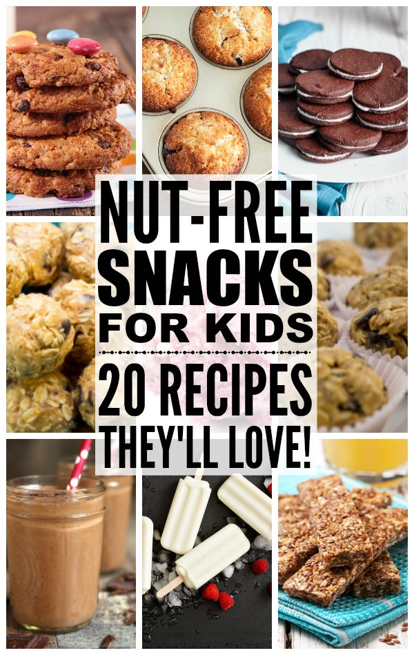 Allergy Free Recipes For Kids
 Nut Free Snacks For Kids 20 Yummy Recipes They ll Love