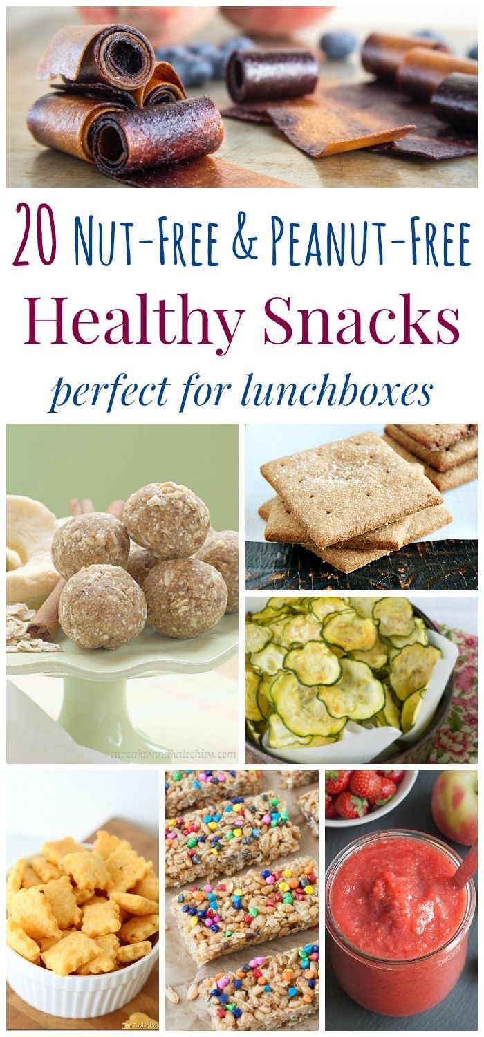 Allergy Free Recipes For Kids
 20 Nut Free and Peanut Free Healthy Snacks Perfect for