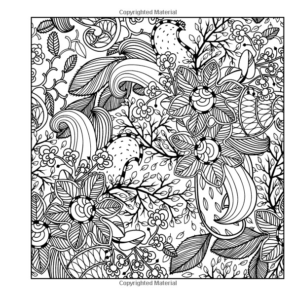 Amazon Adult Coloring Book
 Amazon Adult Coloring Books A Coloring Book for