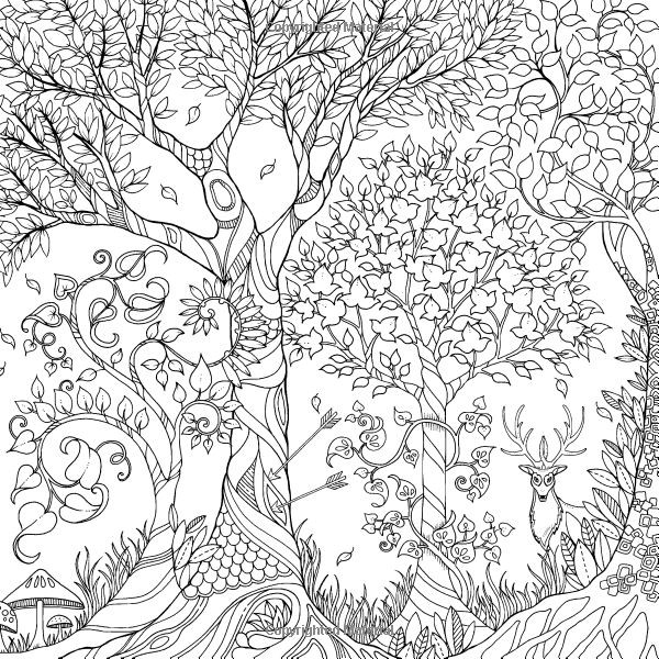 Amazon Adult Coloring Book
 Enchanted Forest An Inky Quest & Coloring Book Johanna